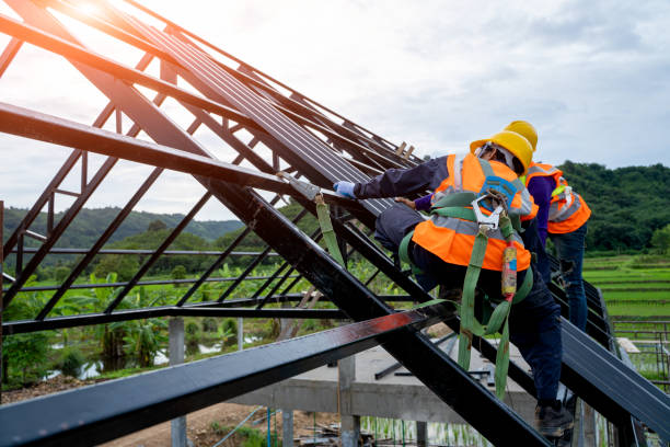 Roof Gutter Cleaning in Roseville, OH