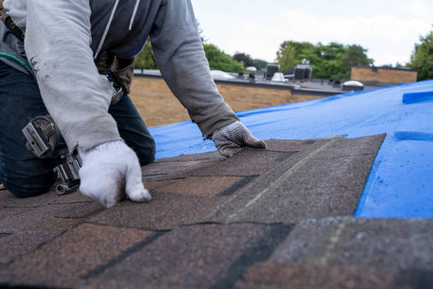 Best Roof Repair Estimates  in Roseville, OH